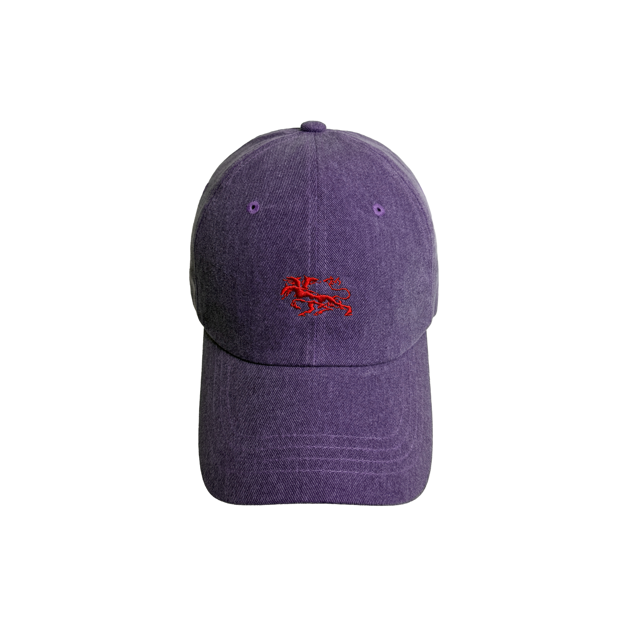 VINTAGE WASHED TWILIGHT CAP