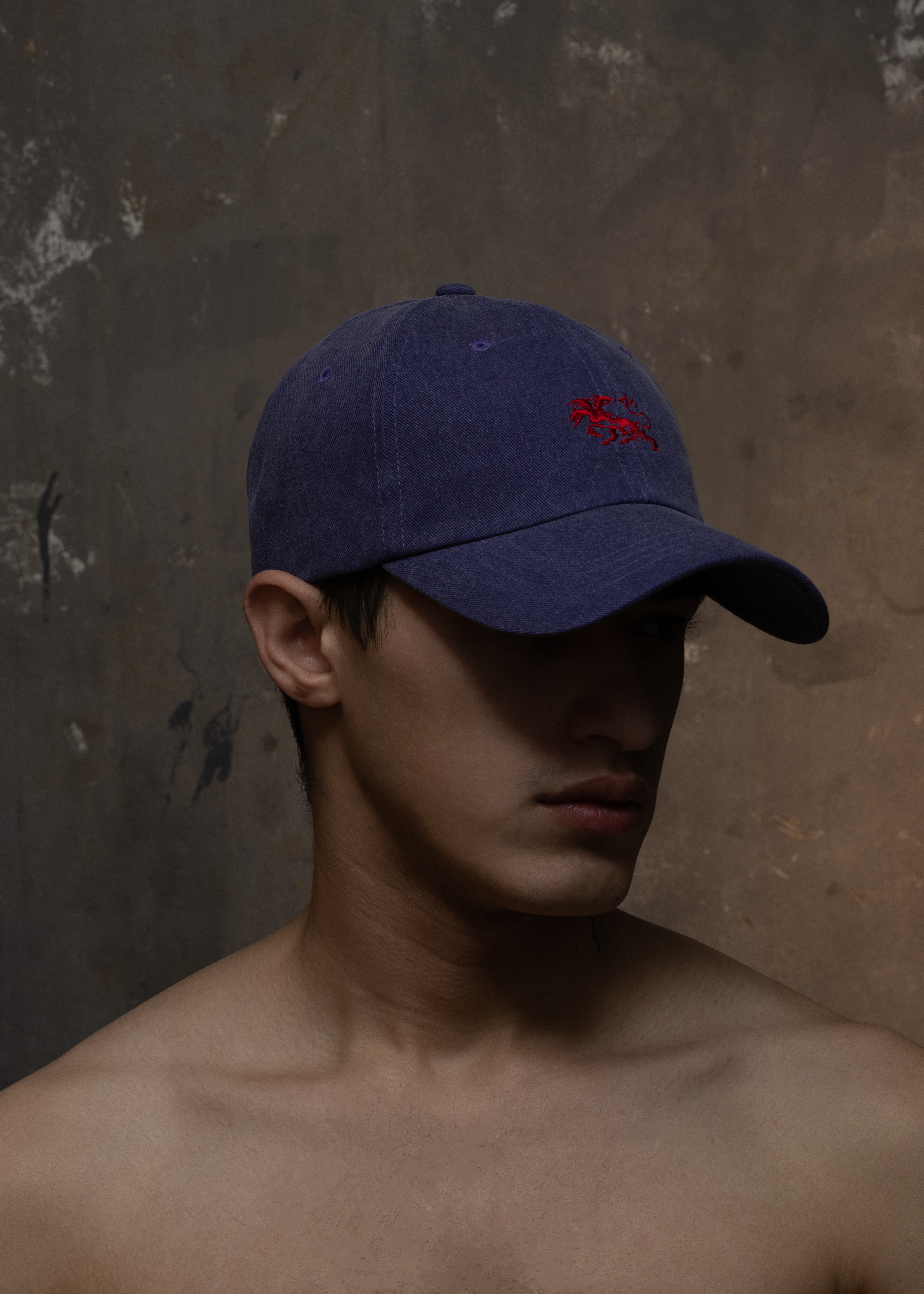 VINTAGE WASHED TWILIGHT CAP
