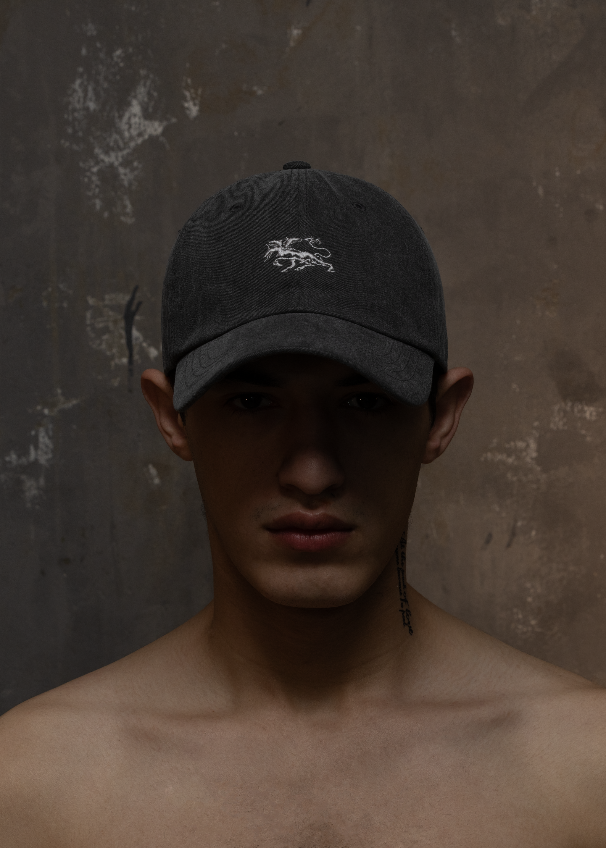 VINTAGE WASHED FOGGY CAP