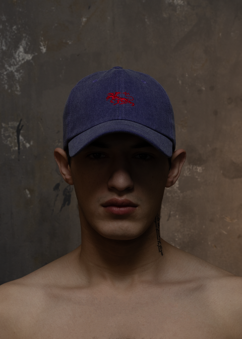 VINTAGE WASHED TWILIGHT CAP