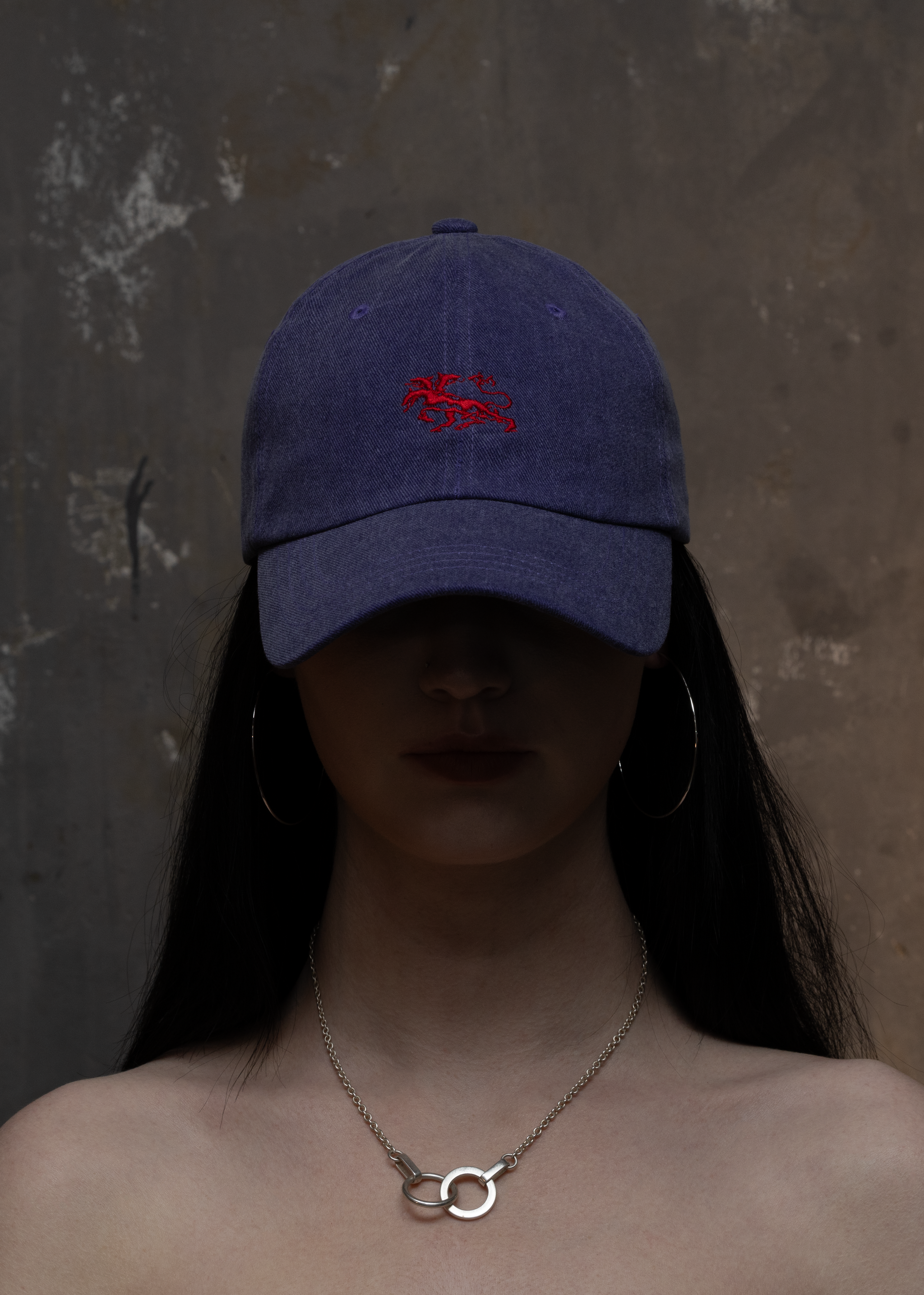 VINTAGE WASHED TWILIGHT CAP