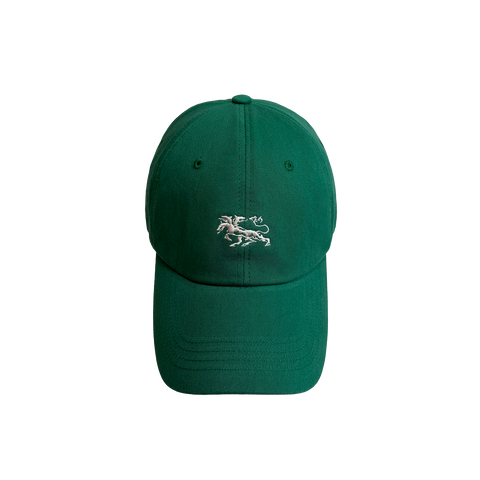 DAFURI LOGO EMERALD CAP