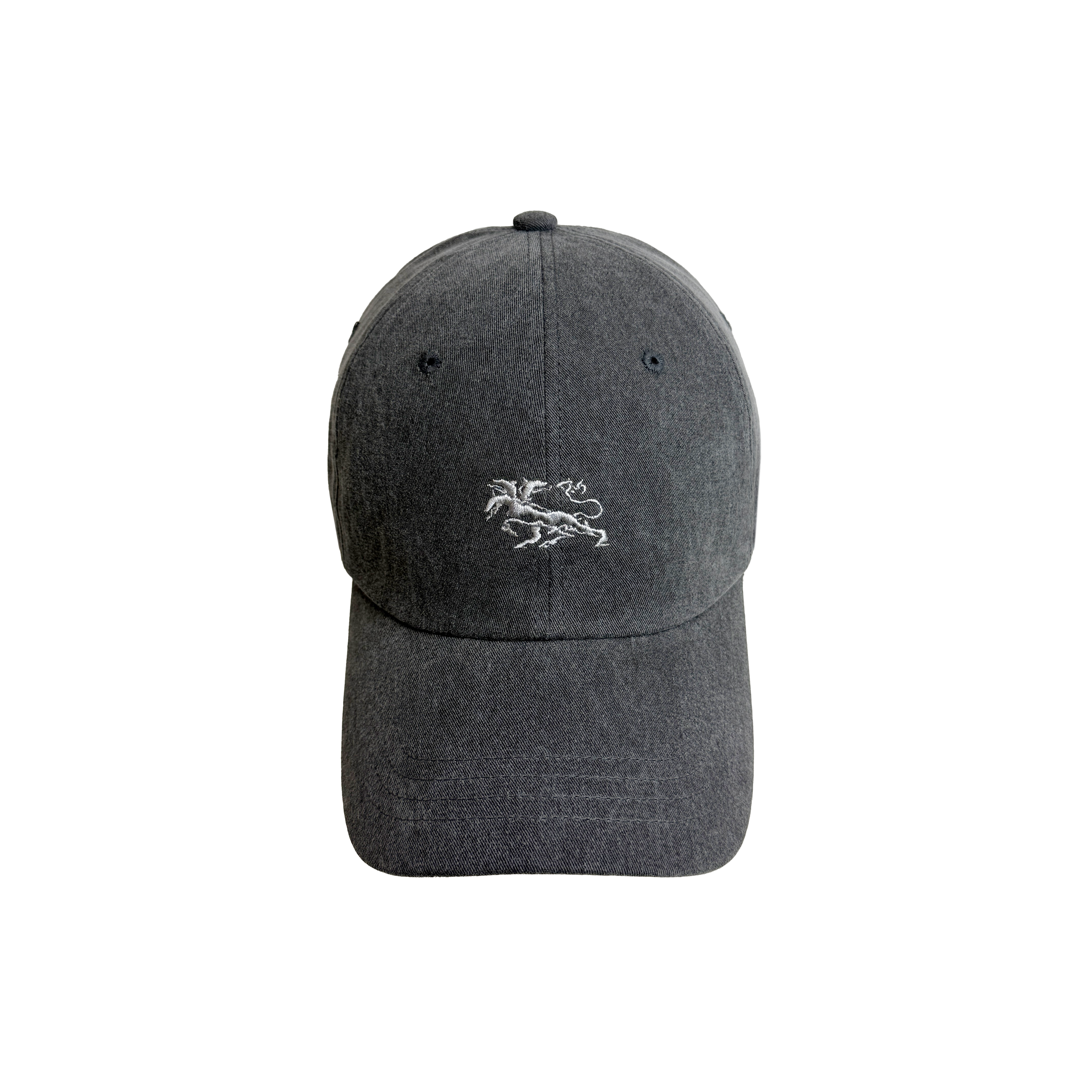 VINTAGE WASHED FOGGY CAP