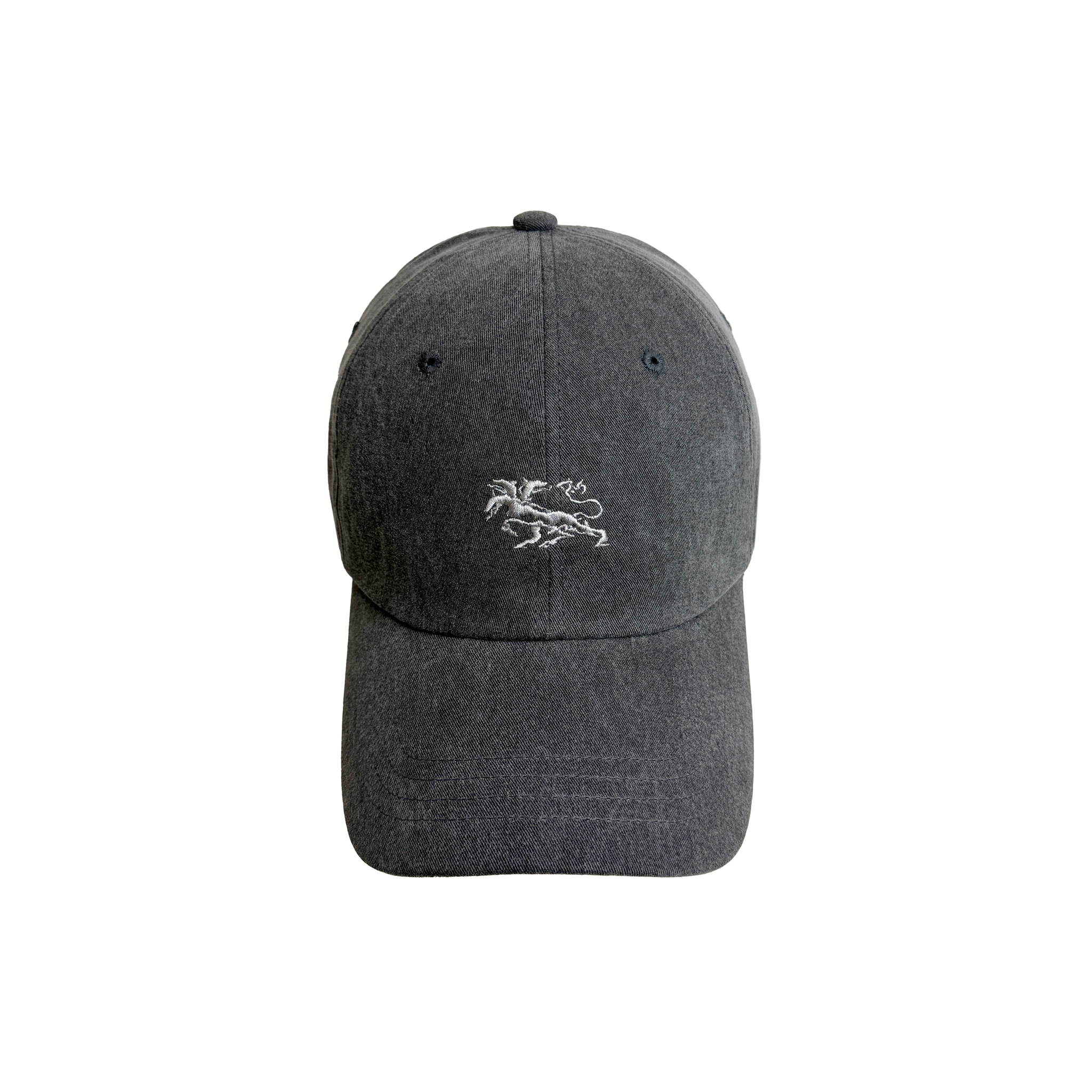 VINTAGE WASHED FOGGY CAP